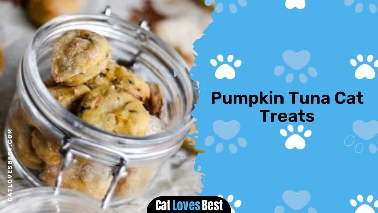 Pumpkin Tuna Cat Treats