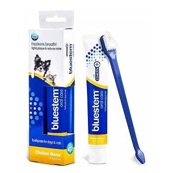 best cat toothbrush and toothpaste