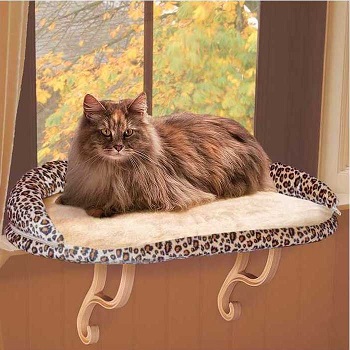 The 10 Best Cat Window Perches And Beds Of 2021 Cat Loves Best