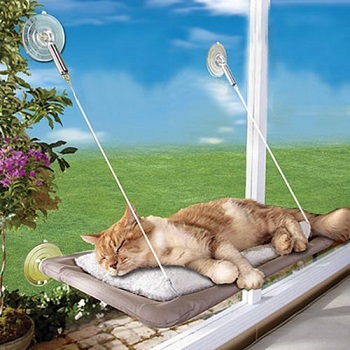 PETPAWJOY Cat Window Bed and Hammock With Suction Cups