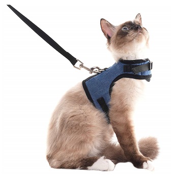 The 10 Best Cat Harnesses for No Escape and Walking - Cat Loves Best