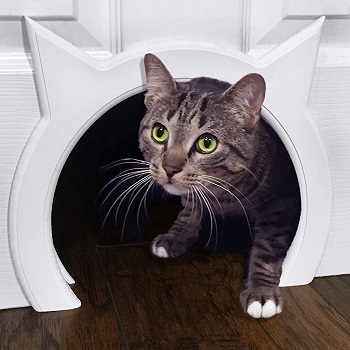 cat door with sensor