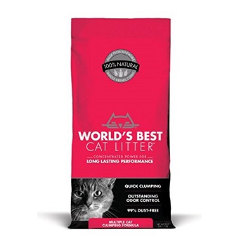 World's Best Cat Litter For Multi Cats