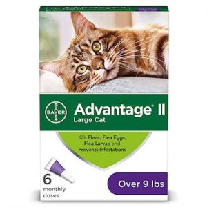 flea treatment safe for nursing cats