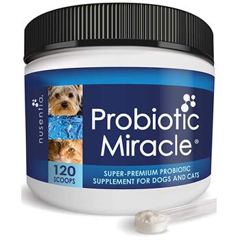 Nusentia Cat Probiotic Miracle