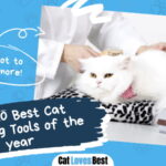 Best Grooming Tool