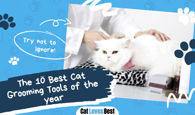 Best Grooming Tool