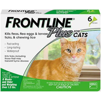 Frontline Plus for Cats and Kittens