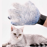 Hair removal mitt