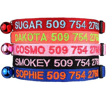 Personalized Breakaway Cat Collars with Safety Release Buckle