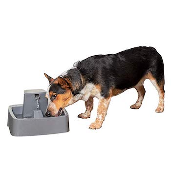PetSafe Drinkwell Platinum Cat Water Fountain [Small to Medium Size]