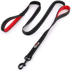 Heavy Duty Cat Leash by Primal Pet Gear