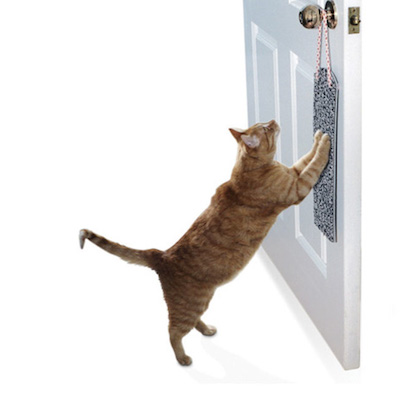 Dxracer How to stop my cat scratching my bedroom door from Dxracer