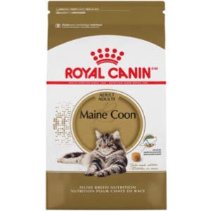 Royal Canin Maine Coon Breed Adult Dry Cat Food