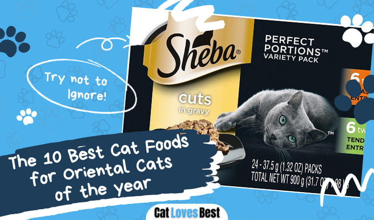 Best Cat Foods for Oriental Cats