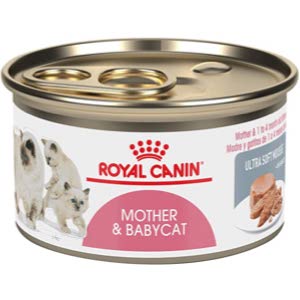 Royal Canin Feline Health Nutrition Mother and Babycat