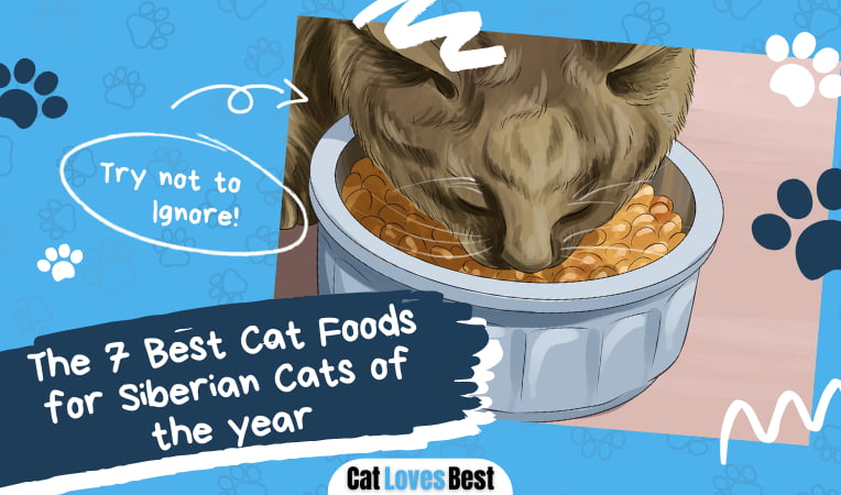 Best Cat Foods for Siberian Cats