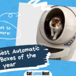 Best Automatic Litter Box