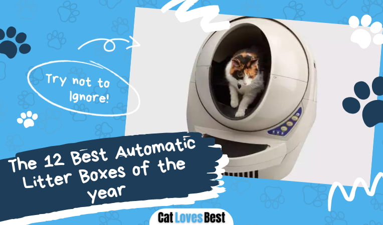 Best Automatic Litter Box