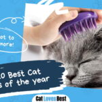 Best Cat Brush