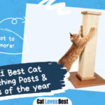 Best Cat Scratching Posts and Towers