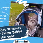 Best Cat Stroller