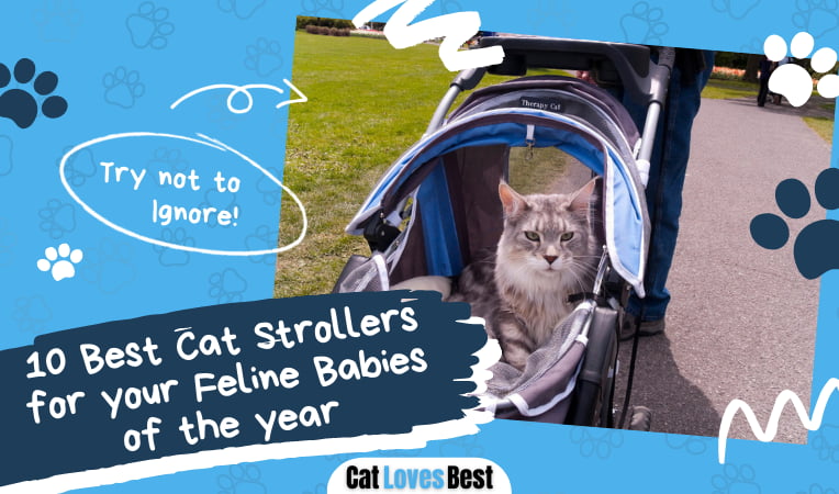 Best Cat Stroller