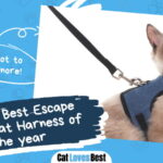 Best Escape Proof Cat Harness