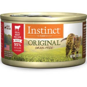 Best Cat Foods for Abyssinian Cats