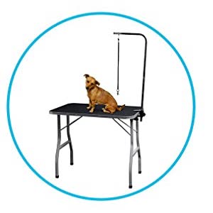 Portable Grooming Table for Cat