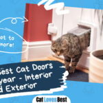 Best Cat Door
