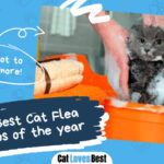 Best Cat Flea Shampoo
