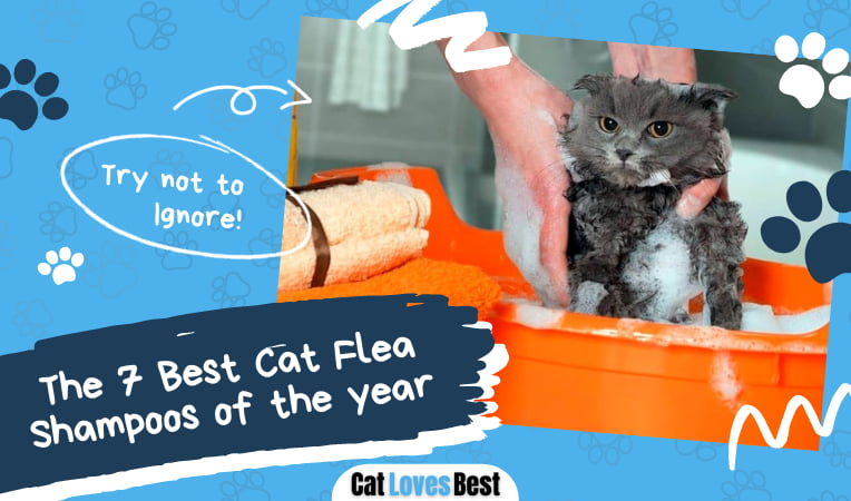 Best Cat Flea Shampoo