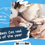 Best Cat Nail Clipper