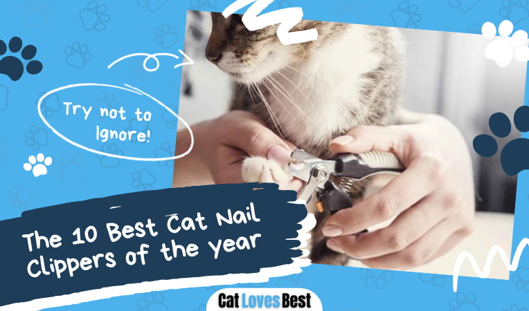 Best Cat Nail Clipper