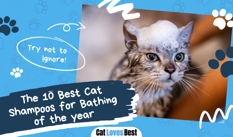 Best Cat Shampoo