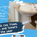 Best Cat Trees Condos and Towers