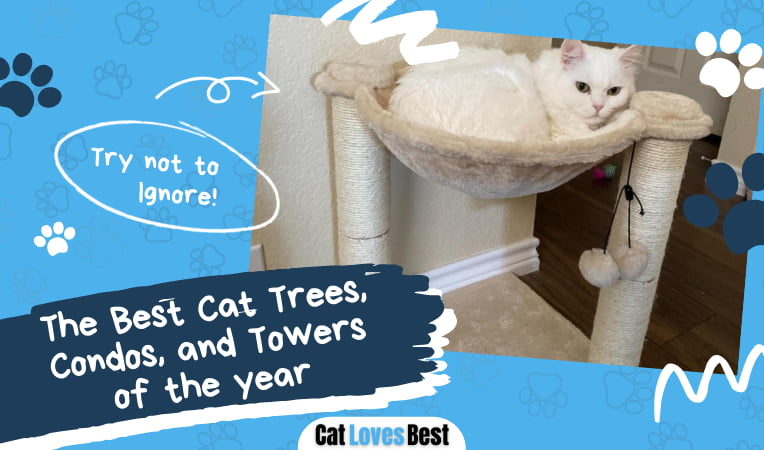 Best Cat Trees Condos and Towers