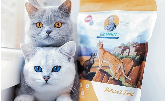 Dr. Marty Nature’s Feast Cat Food Review Cat Loves Best