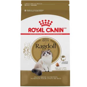 Best Cat Food for Ragdoll Cats