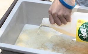 Cleaning a litter box and its surroundings with a mild detergent 