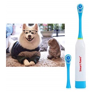 Electronic Toothbrush with 2 Soft Hair Brush for Pet