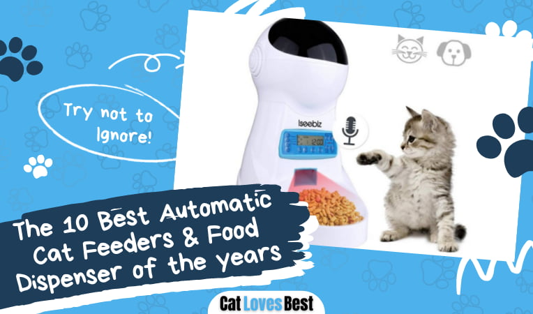 Best Automatic Cat Feeders and Food Dispenser