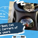 Best Cat Backpack Carrier