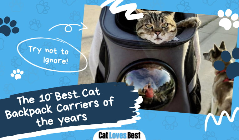 Best Cat Backpack Carrier