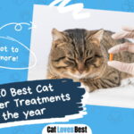 Best Cat Dewormer Treatment