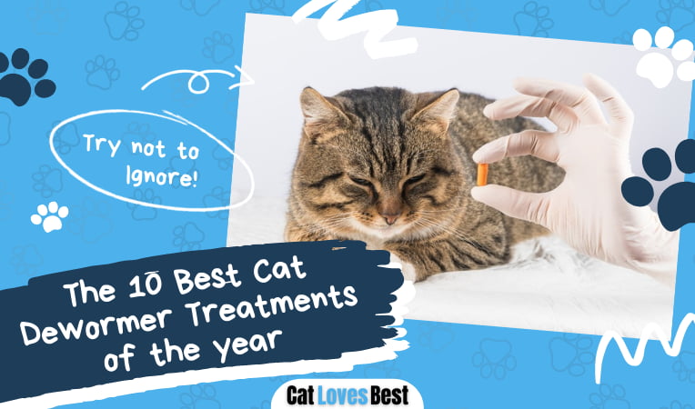 Best Cat Dewormer Treatment