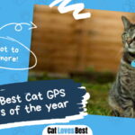 Best Cat GPS Tracker