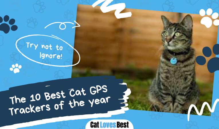 Best Cat GPS Tracker