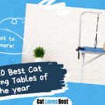 Best Cat Grooming Table